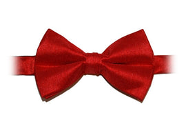 Scarlet Red Poly Dupion Bow Tie - Her Tuxedo